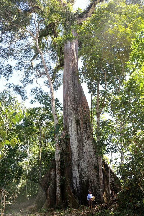 Misahualli Amazon Lodge Tena Eksteriør billede